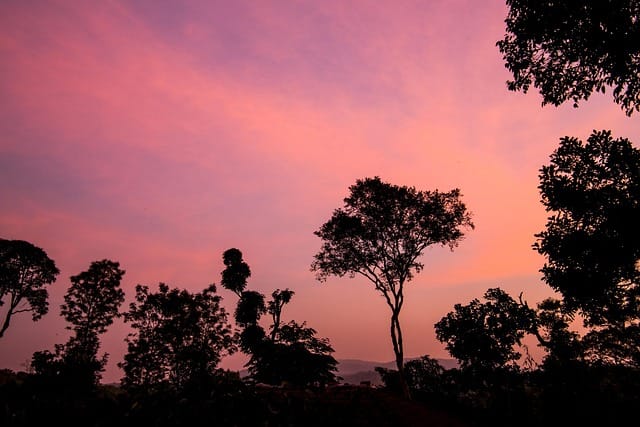 Golden sunset with colorful clouds and warm light across the horizon